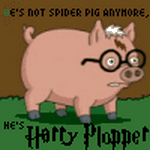 pic for spider pig